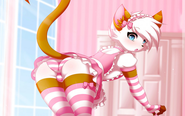 Обои картинки фото аниме, животные,  существа, фон, взгляд, девушка