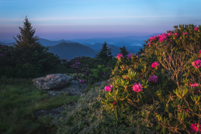 Обои картинки фото природа, пейзажи, простор