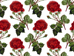 Картинка рисованное цветы фон