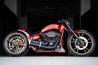 Картинка harley+davidson мотоциклы customs профиль изготовленный на заказ harley davidson харли дэвидсон