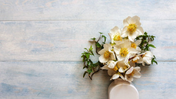 Картинка цветы геллеборус+ морозник букет