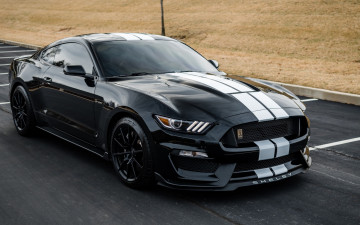 Картинка ford+mustang+gt автомобили mustang ford gt shelby gt500 легендарный американский исполин породистый конь