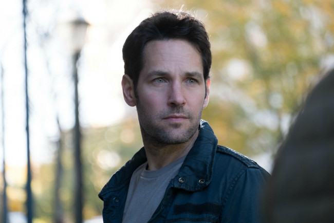 Обои картинки фото мужчины, paul rudd, paul, rudd