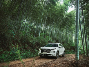 Картинка автомобили trumpchi