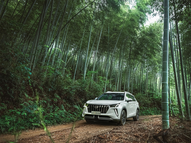 Обои картинки фото автомобили, trumpchi