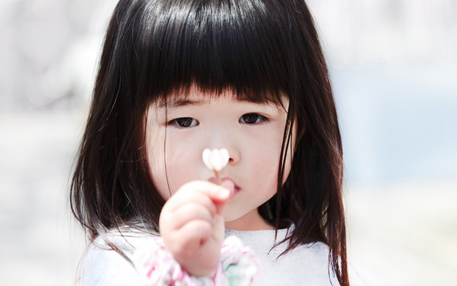 Обои картинки фото разное, дети, девочка, лицо, цветок