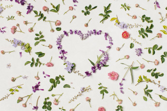 Картинка цветы разные+вместе