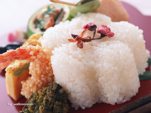 обоя еда, рыба, морепродукты, суши, роллы