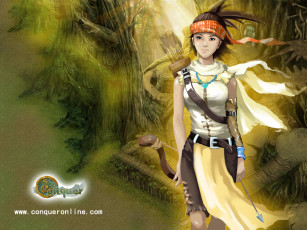 Картинка видео игры conquer online