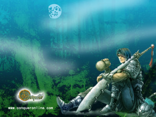 Картинка видео игры conquer online