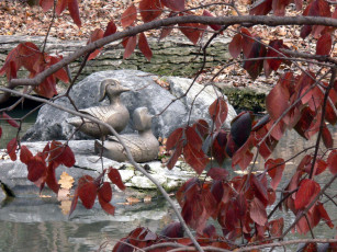 Картинка duck sculptures in woodland garden разное рельефы статуи музейные экспонаты