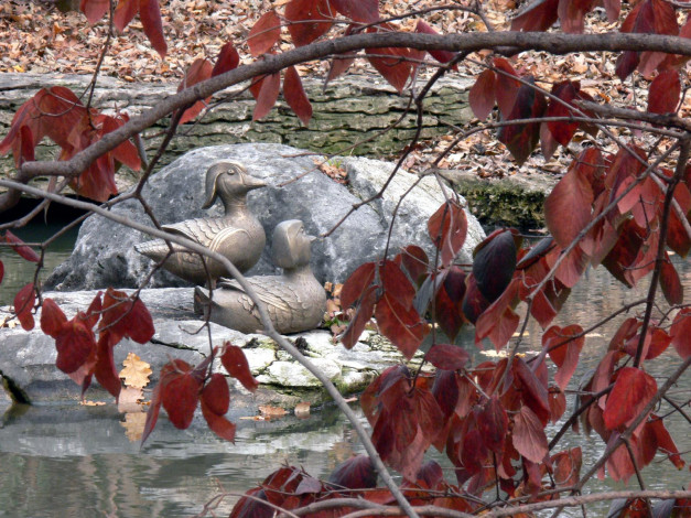 Обои картинки фото duck, sculptures, in, woodland, garden, разное, рельефы, статуи, музейные, экспонаты