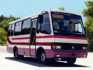 Картинка автомобили автобусы