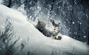 Картинка юмор приколы