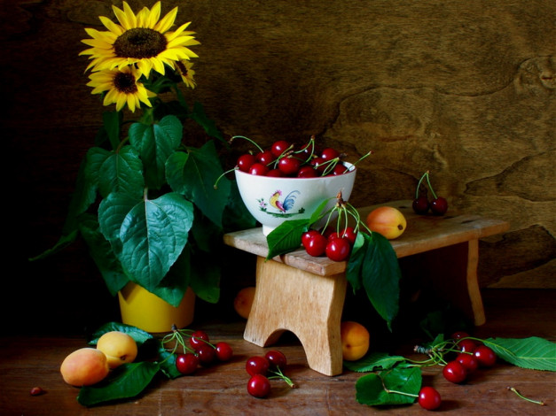Обои картинки фото надежда, былкова, подсолнухом, черешней, еда, натюрморт