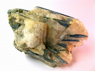 Картинка разное ракушки кораллы декоративные spa камни