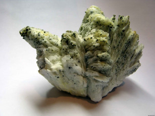 Картинка разное ракушки кораллы декоративные spa камни