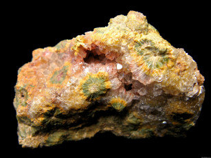 Картинка разное ракушки кораллы декоративные spa камни