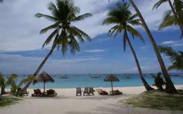 Картинка природа тропики