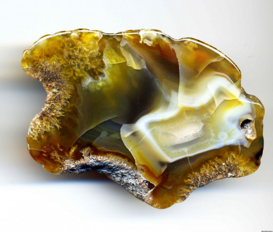 Обои картинки фото разное, ракушки, кораллы, декоративные, spa, камни