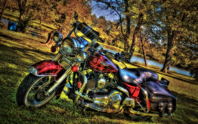 Обои картинки фото мотоциклы, harley, davidson