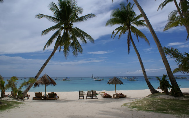 Обои картинки фото природа, тропики