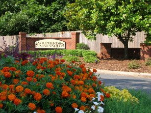 Картинка природа парк клумба