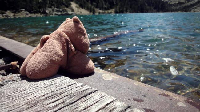 Обои картинки фото разное, игрушки, игрушка, вода