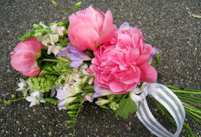 Обои картинки фото цветы, букеты, композиции, фрезии, пионы