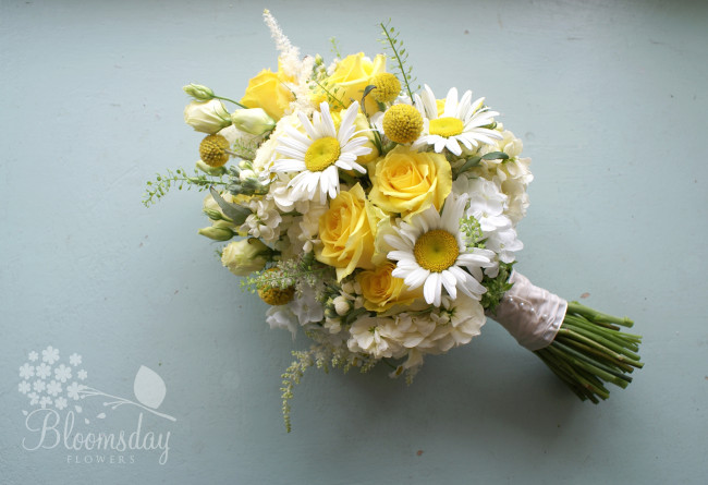 Обои картинки фото цветы, букеты, композиции, флоксы, левкой, ромашки, розы