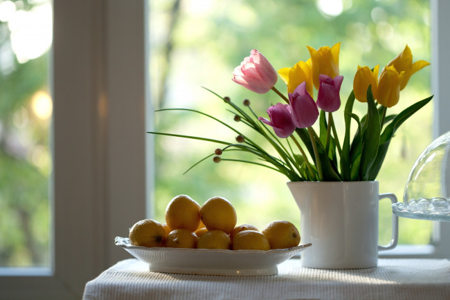 Обои картинки фото еда, цитрусы, тюльпаны, лимоны