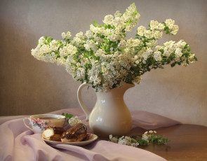 Картинка цветы таволга+ спирея +лабазник эклер