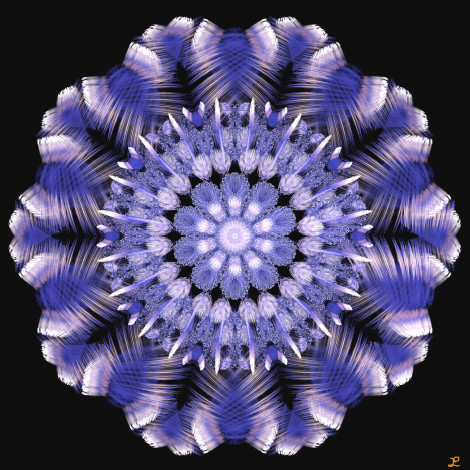 Обои картинки фото 3д графика, фракталы , fractal, цвета, фон, узор