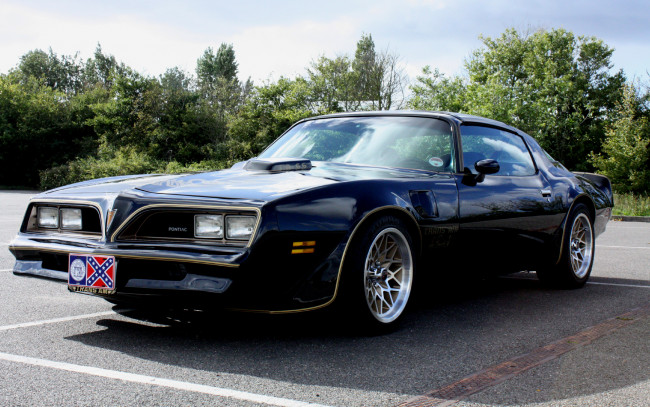 Обои картинки фото автомобили, pontiac, понтиак, транс, эм, чёрный, бандит