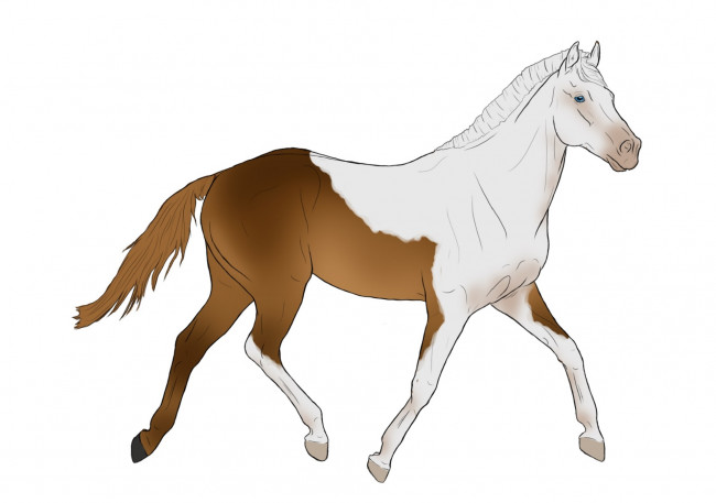 Обои картинки фото рисованные, животные,  лошади, лошадь