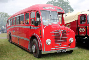 Картинка автомобили автобусы транспорт пассажирский