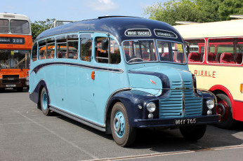 Картинка автомобили автобусы пассажирский транспорт