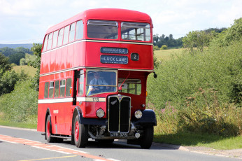 Картинка автомобили автобусы пассажирский транспорт