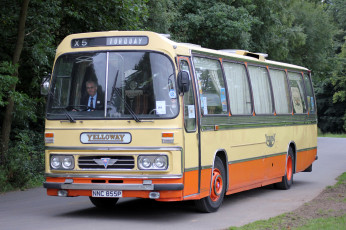 Картинка автомобили автобусы пассажирский транспорт