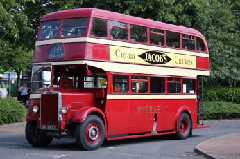 Картинка автомобили автобусы транспорт пассажирский