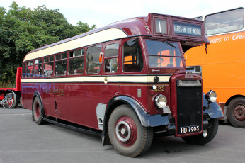 Картинка автомобили автобусы транспорт пассажирский