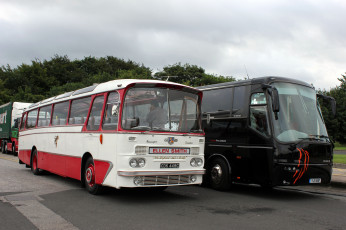 Картинка автомобили автобусы транспорт пассажирский