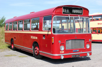 Картинка автомобили автобусы транспорт пассажирский