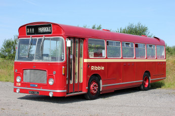 Картинка автомобили автобусы транспорт пассажирский