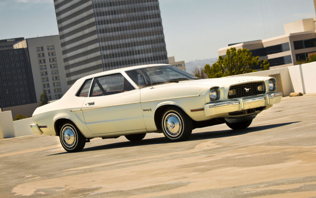 Обои картинки фото автомобили, mustang