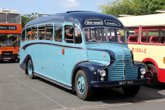 Обои картинки фото автомобили, автобусы, пассажирский, транспорт