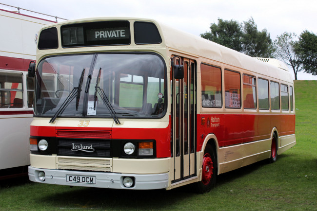 Обои картинки фото автомобили, автобусы, транспорт, пассажирский