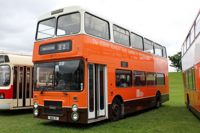 Обои картинки фото автомобили, автобусы, транспорт, пассажирский