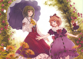 Картинка аниме touhou sanba fukahire art арка радость бант розы kazami yuuka календула зеленые волосы зонт cirno medicine melancholy