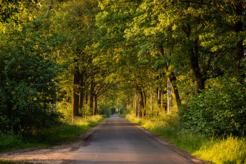 Картинка природа дороги тракт